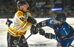 Photo hockey match Nantes - Strasbourg  le 29/01/2025