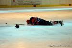 Photo hockey match Neuilly/Marne - La Roche-sur-Yon le 16/01/2016