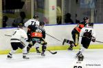 Photo hockey match Nice - Amiens  le 30/10/2016