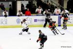 Photo hockey match Nice - Amiens  le 30/10/2016