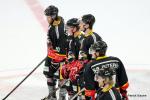 Photo hockey match Nice - Amiens  le 08/01/2017