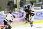Photo hockey match Nice - Amiens  le 08/01/2017