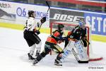 Photo hockey match Nice - Amiens  le 08/01/2017