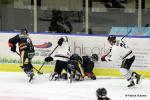 Photo hockey match Nice - Amiens  le 08/01/2017