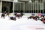 Photo hockey match Nice - Angers  le 03/01/2018