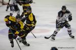 Photo hockey match Nice - Angers  le 02/11/2019