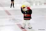 Photo hockey match Nice - Anglet le 26/03/2016