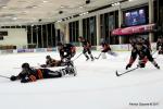 Photo hockey match Nice - Bordeaux le 03/11/2017