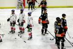 Photo hockey match Nice - Caen  le 16/01/2016