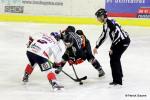 Photo hockey match Nice - Caen  le 16/01/2016