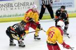 Photo hockey match Nice - Dijon  le 17/02/2017