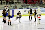 Photo hockey match Nice - Dunkerque le 28/11/2015