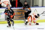 Photo hockey match Nice - Epinal  le 11/11/2016