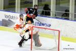 Photo hockey match Nice - Epinal  le 02/12/2016
