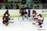 Photo hockey match Nice - Epinal  le 08/12/2017
