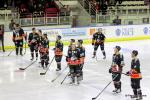 Photo hockey match Nice - La Roche-sur-Yon le 27/02/2016