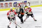 Photo hockey match Nice - La Roche-sur-Yon le 27/02/2016