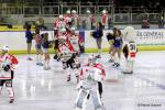Photo hockey match Nice - La Roche-sur-Yon le 27/02/2016