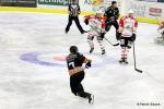 Photo hockey match Nice - La Roche-sur-Yon le 27/02/2016