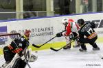 Photo hockey match Nice - La Roche-sur-Yon le 27/02/2016