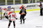 Photo hockey match Nice - La Roche-sur-Yon le 27/02/2016