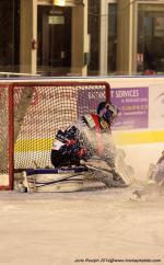 Photo hockey match Nice - Montpellier  le 08/02/2014