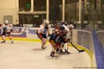Photo hockey match Nice - Montpellier  le 08/02/2014