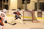 Photo hockey match Nice - Montpellier  le 08/02/2014