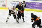 Photo hockey match Nice - Morzine-Avoriaz le 29/03/2016