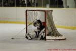 Photo hockey match Nice - Mulhouse le 18/02/2012
