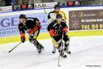 Photo hockey match Nice - Rouen le 20/11/2016