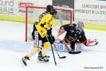 Photo hockey match Nice - Rouen le 17/09/2017