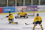 Photo hockey match Nice - Rouen le 11/01/2019