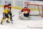 Photo hockey match Nice - Rouen le 11/01/2019