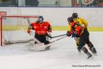 Photo hockey match Nice - Rouen le 11/01/2019