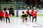Photo hockey match Nice - Rouen le 29/11/2019