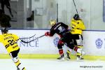 Photo hockey match Nice - Rouen le 03/11/2023