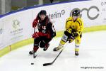 Photo hockey match Nice - Rouen le 03/11/2023