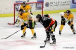 Photo hockey match Nice - Strasbourg  le 03/03/2017