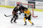 Photo hockey match Nice - Strasbourg  le 03/03/2017