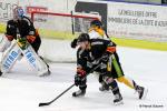 Photo hockey match Nice - Strasbourg  le 03/03/2017