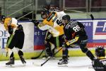 Photo hockey match Nice - Strasbourg  le 03/03/2017