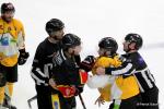 Photo hockey match Nice - Strasbourg  le 03/03/2017