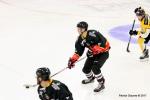 Photo hockey match Nice - Strasbourg  le 12/09/2017
