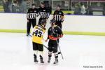 Photo hockey match Nice - Strasbourg  le 06/02/2018