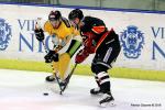 Photo hockey match Nice - Strasbourg  le 06/02/2018