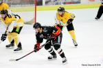 Photo hockey match Nice - Strasbourg  le 06/02/2018