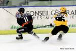 Photo hockey match Nice - Strasbourg  le 06/02/2018