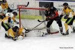 Photo hockey match Nice - Strasbourg  le 06/02/2018