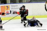 Photo hockey match Nice - Strasbourg  le 06/02/2018